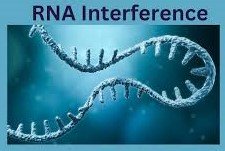 RNA Interference: Exploring the Fascinating Evolution