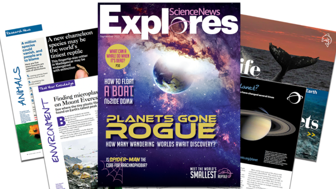 The Best Sources for Staying Updated on Scientific Discoveries