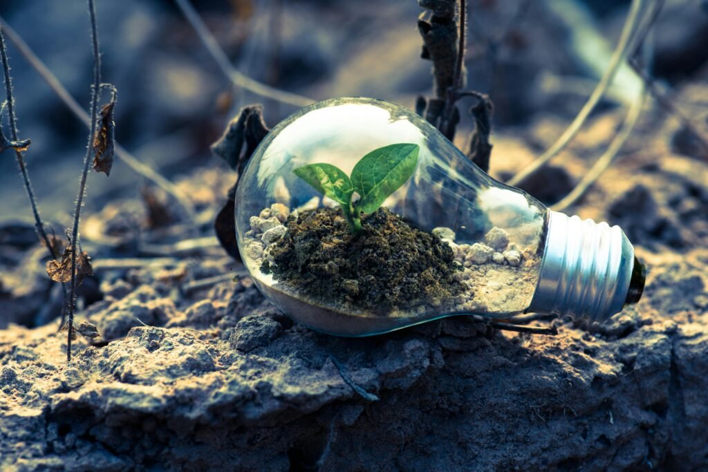 Clear Light Bulb Planter on Gray Rock representing green tech.