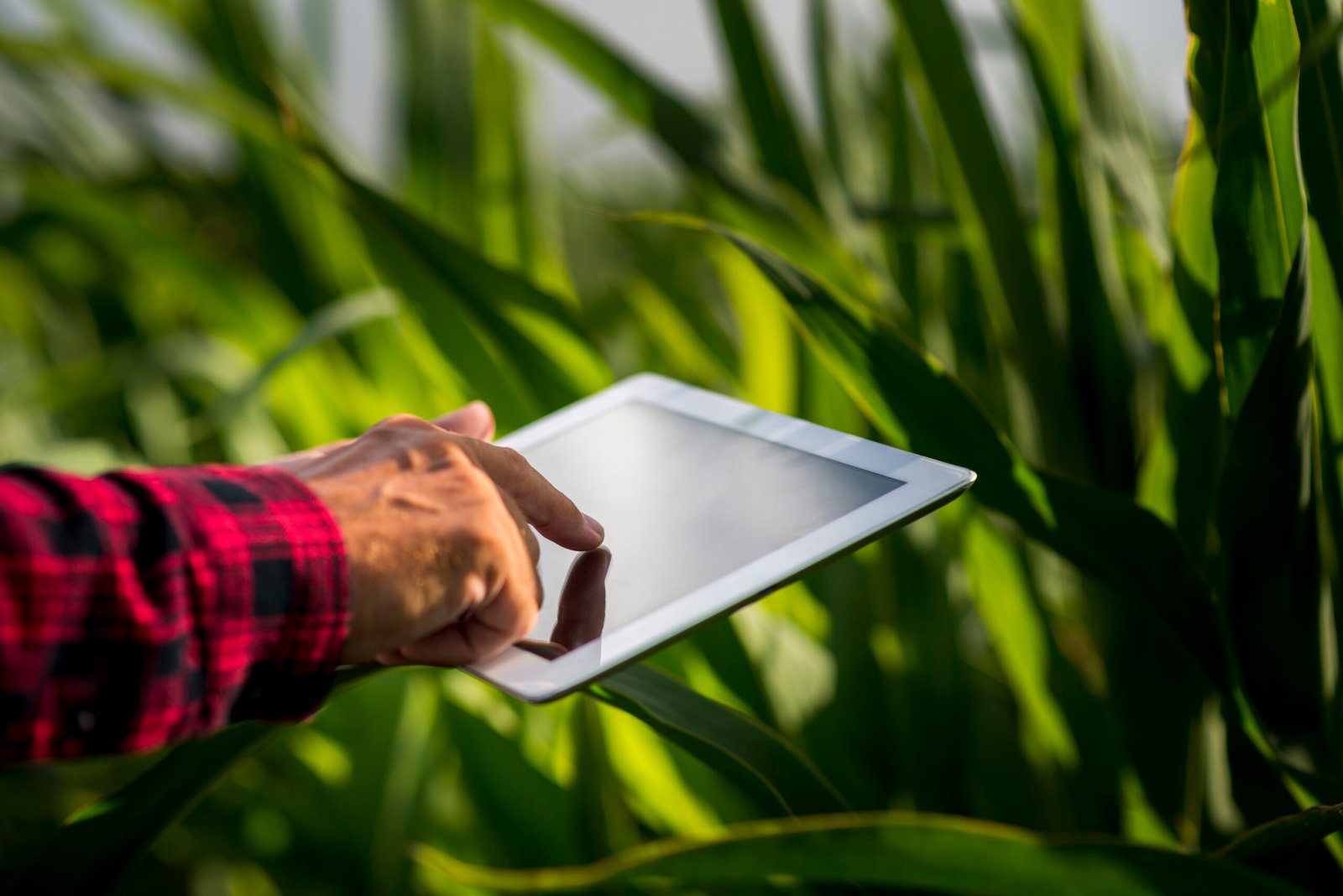 AgriTech Startups to Watch in 2025: Innovating for Food Security