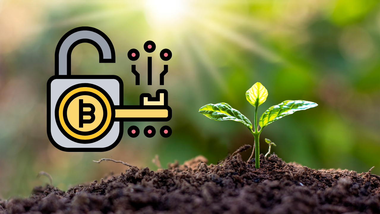 Blockchain in Agriculture: From Farm to Fork Transparency