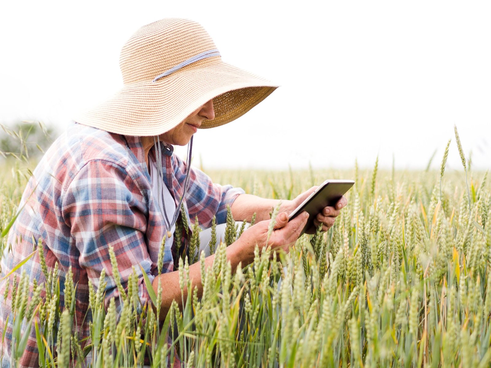 E-Agriculture and Climate-Resilient Farming: A Powerful Approach to Sustainable Agriculture