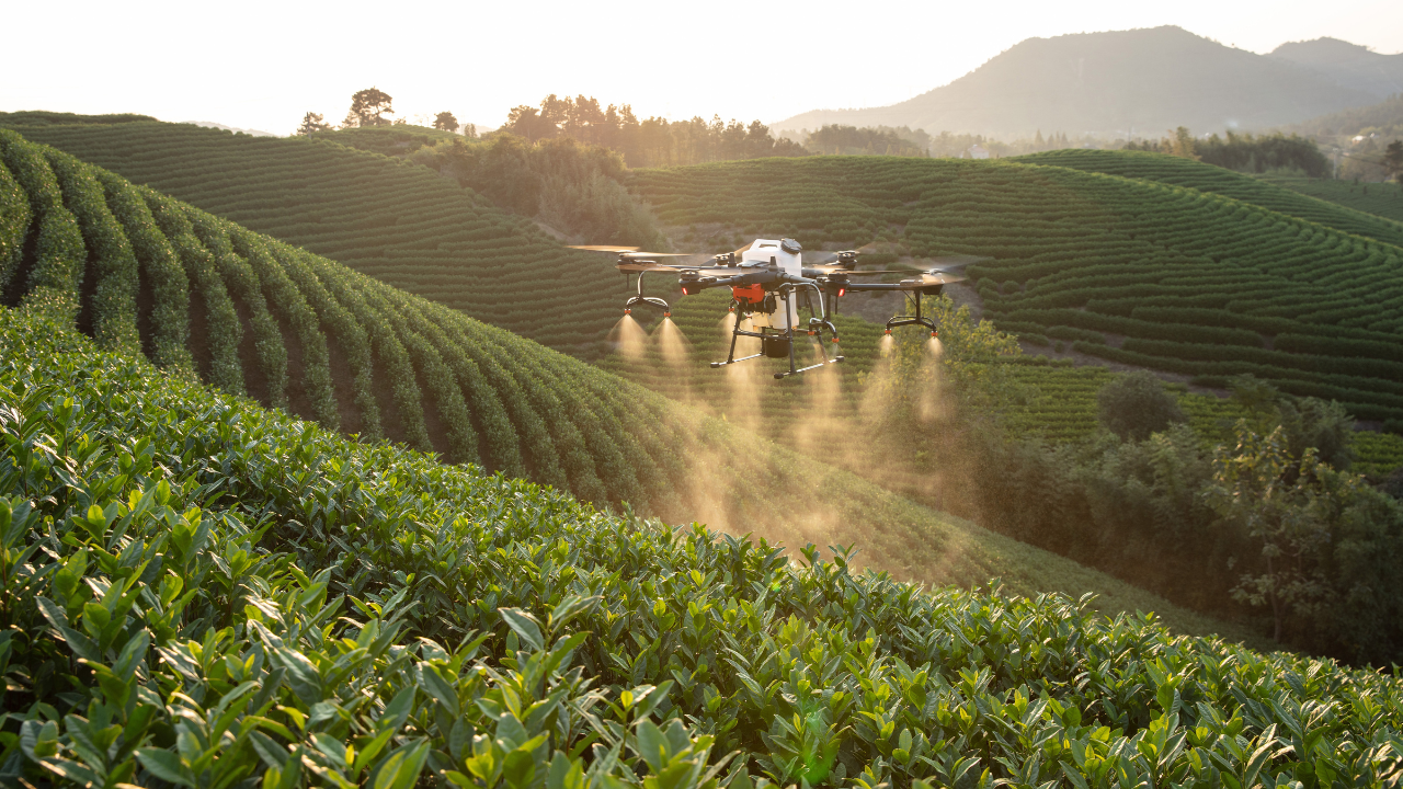 Drone Technology in Agriculture: Benefits, Challenges, and Future Trends