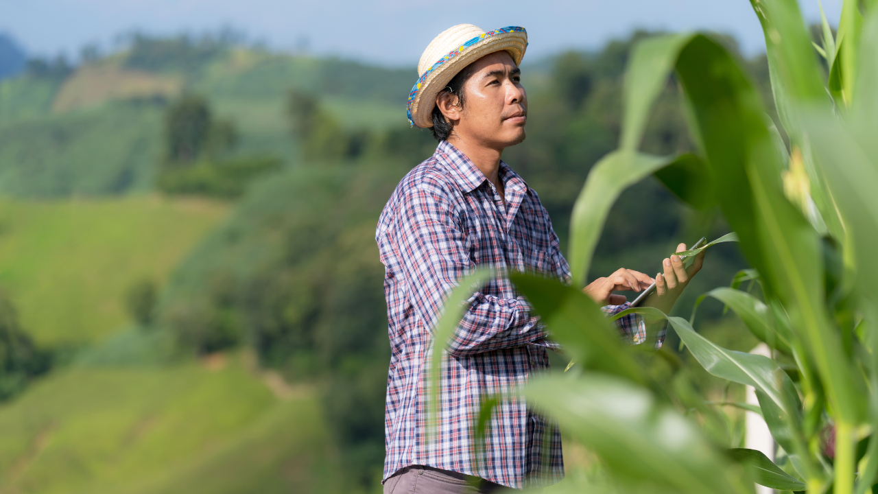 How Smart Farming Technologies are Revolutionizing Agriculture in 2025