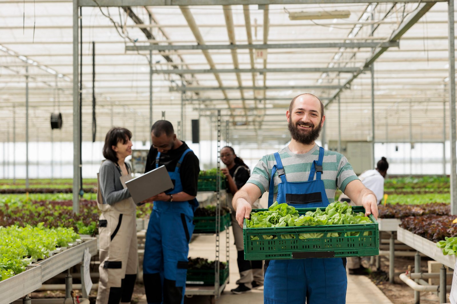How Blockchain is Enhancing Transparency in Agricultural Supply Chains